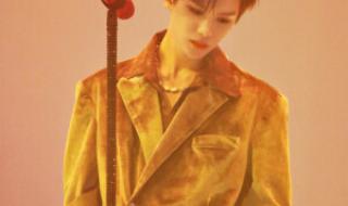 ninepercent演唱会是全开麦吗 ninepercent演唱会